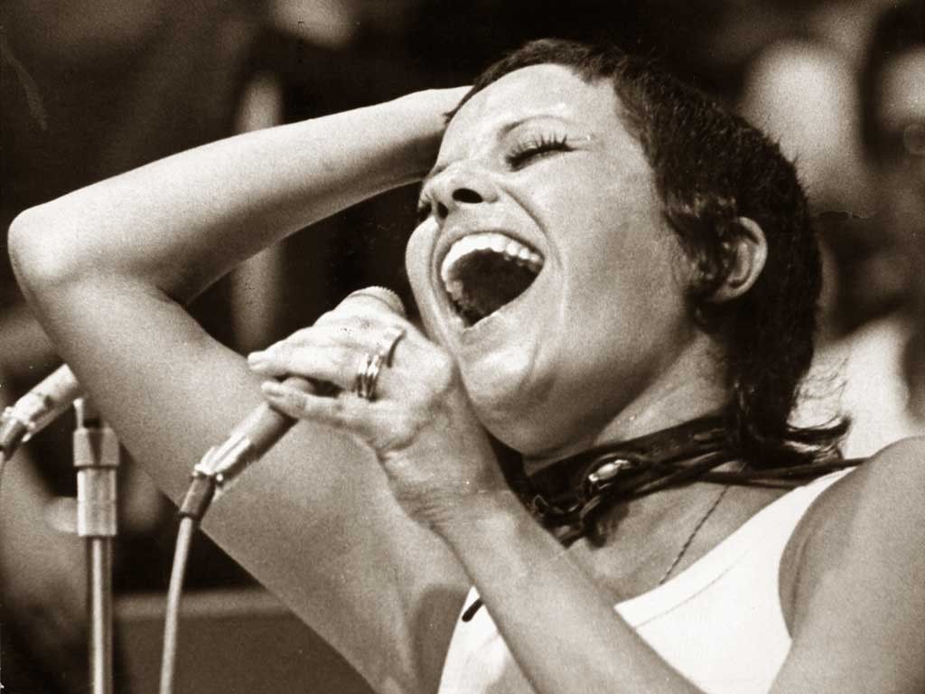 Homenageado 8º Prêmio da Música Brasileira  Ano Elis Regina