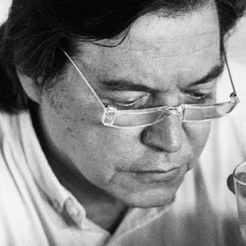 Imagem Tom Jobim